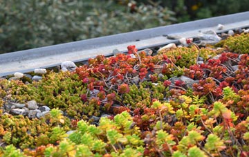 the cost of Crossroads green roof installation