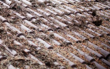 Crossroads roof cleaning companies